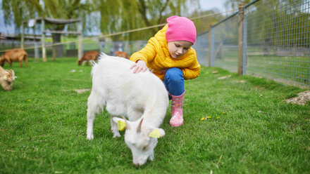 Nursery pets health and safety.jpg