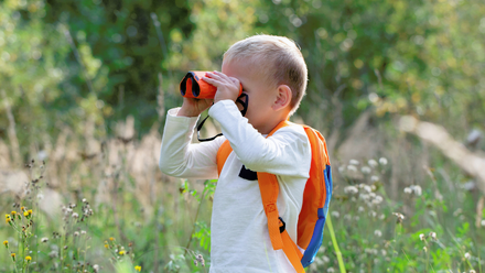 Activity - Big Garden Bird Watch .png
