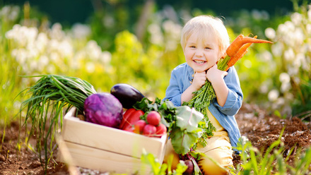 Harvest treasure hunt original.jpg