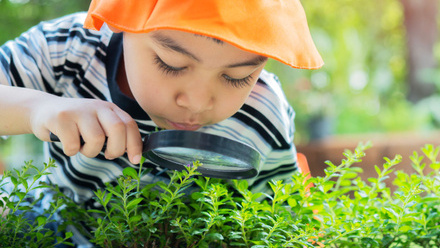 Nature rangers activity.jpg