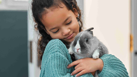 Early years activity - Animal appreciation.jpg