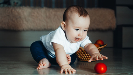 AdobeStock_214456716.jpg