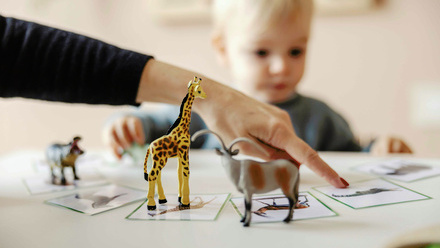 Inclusion in action activity.jpg