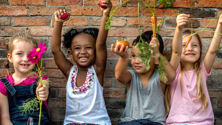 Summer Sensory Exploration - What’s in the box original.jpg 1